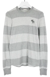 AMBERCROMBIE & FITCH Muscle Sweatshirt Herren MEDIUM grau gestreift Logo Pullover - Bild 1 von 9