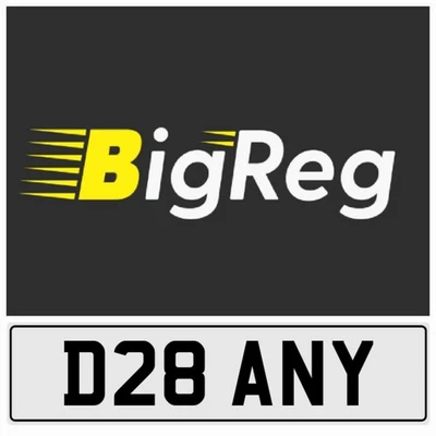 D28 ANY DANNY DANI DANS DANIEL DAN DANN NEAT OLD D REG PRIVATE CAR NUMBER PLATE - Image 1 of 4