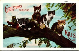 Greetings from the Cat Kills 4 Cats Postcard Postmark 1941. P2 - Picture 1 of 2