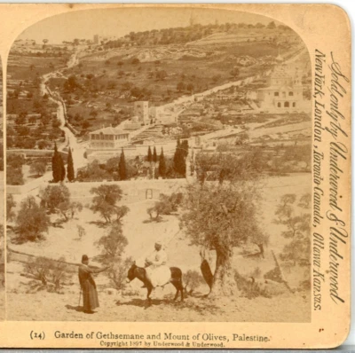 ПАЛЕСТИНА, Гефсиманский сад и Масличная гора - Underwood Stereoview M22 - Изображение 1 из 4