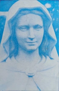MADONNA DELLE ROSE VERGINE MARIA SANTINO CON PREGHIERA - Foto 1 di 2
