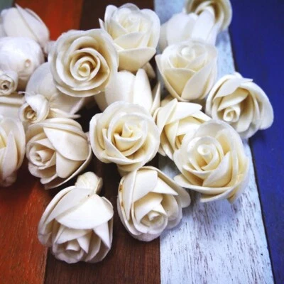 20 Rose Sola Wood Diffuser Flowers 3 cm Dia. for Decorate Craft - Image 1 of 3