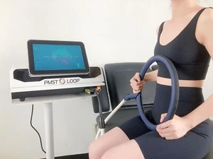 Pemf Electromagnetic Field Therapy PMST LOOP Body Pain Relief Therapy Machine - Picture 1 of 15
