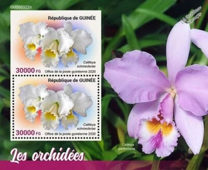 ORCHIDS / Orchid Wild Flowers MNH 2v-Stamp Sheet #33 (2020 Guinea) - Picture 1 of 1