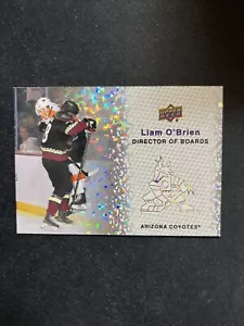 23-24 UD Sereis 2 Hockey Sparkle Parallel Director Of Boards DB-7 Liam O’Brien - Picture 1 of 2