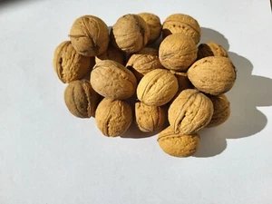20 kg Walnüsse in der schale BiO Qualität Ernte 2024 - Bild 1 von 1