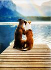 "YOU are my HAPPY Place!" Dogs Avanti Press Happy Anniversary Greeting Card