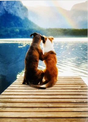 "YOU are my HAPPY Place!" Avanti Press Happy Anniversary Greeting Card Dogs - Image 1 of 4