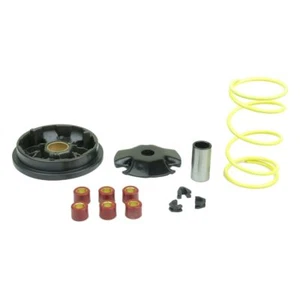 Speedmatic Roller Transmission Variator Kit for Piaggio ZIP RST AIR 50 1996-1999 - Picture 1 of 4