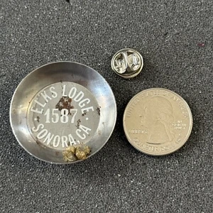 Sonora California #1587 BPOE Elks Club Lodge Pin Pinback #48443 - Bild 1 von 3