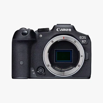 Mirrorless digital cameras