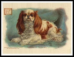 KING CHARLES BLENHIEM TOY SPANIEL VINTAGE STYLE DOG ART PRINT POSTER - Picture 1 of 1