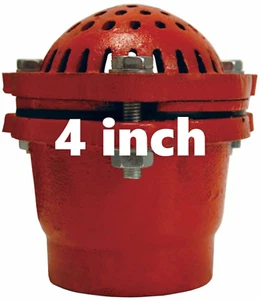 DIXON 4 inch Cast Iron Threaded Foot Valve - DFVS40 - Picture 1 of 2
