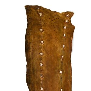 Exotic sturgeon leather very-soft hardness, fish leather in brown color