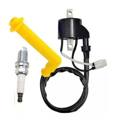 Bobina de encendido y bujía para Suzuki Quadracer 450 LTR450 2006-09 RMZ450 05-12 Foto 1 de 3