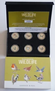 GUERNSEY 2021 WILDLIFE GARDEN BIRDS coloured coin COLLECTION set 10p 10 pence -1 - Picture 1 of 4