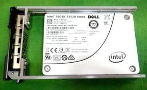 DELL Intel SSD DC S3520 480 GB SATA SSDSC2BB480G7R 064TMJ IN CADDY @ X - Picture 1 of 4