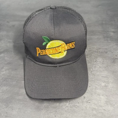 Gorra Perricone Farms Juice Snapback gris malla camionero tarea cítrica limonada Foto 1 de 4