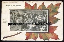 TORONTO Ontario Postcard 1908 Maple Leaf Border Yonge Street by Cooper