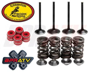 Polaris Predator 500 Kibblewhite Intake & Exhaust Valves Seals Titanium Springs - Picture 1 of 23
