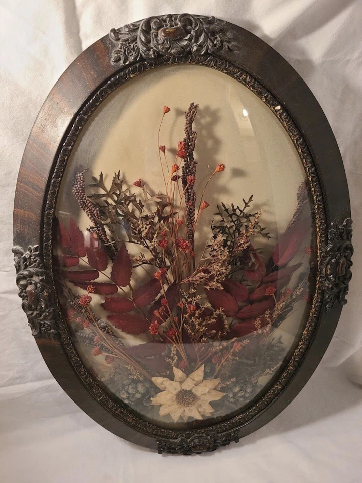 Marco de fotos de vidrio cúpula de burbujas de grano de madera vintage floral convexo arte de hierba y semillas Foto 1 de 4