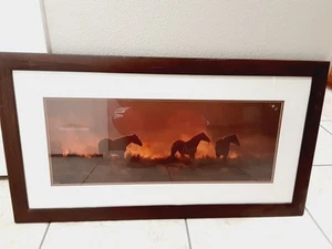 Equastrian Art Wild Mustangs Signed Limited 73/500 Edition Photography 36x18 - Picture 1 of 10