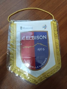 Gagliardetto Gelbison Calcio - Foto 1 di 1