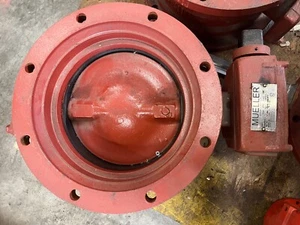Mueller Butterfly Water Valve Lineseal III Class 150B, 12 Inch, Red - Picture 1 of 9