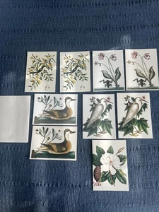 9  Unused COLONIAL WILLIAMSBURG Mark Catesby Flora Fauna BLANK NOTE CARDS READ - Picture 1 of 23