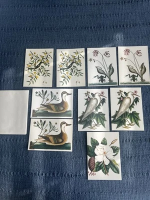 9  Unused COLONIAL WILLIAMSBURG Mark Catesby Flora Fauna BLANK NOTE CARDS READ - Image 1 of 4