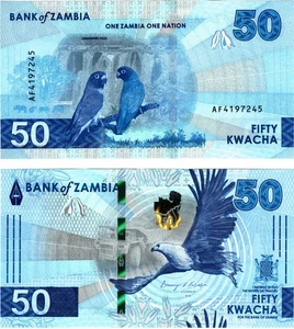 2025 Zambia P64 50 Kwacha Banknote UNC Parrots - Picture 1 of 1