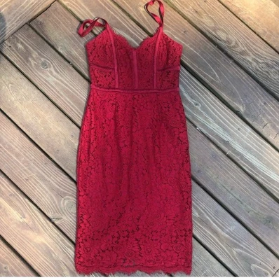 EXPRESS Bustier Corset Sheath Dress Pink Lace Coquette Date Night Feminine Sz 2 - Image 1 of 4