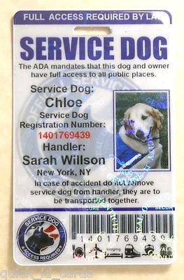 QUICK ID CARDS HOLOGRAPHIC SERVICE DOG ID CARD FOR SERVICE ANIMAL ADA RATED 0BH