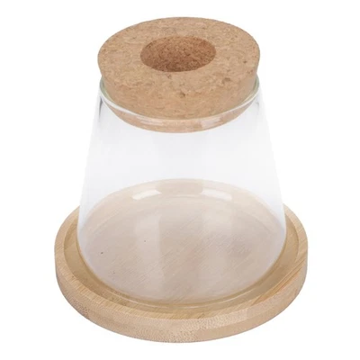  Übertopf Glas Blumen Vase Desktop-Dekoration Hydrokulturbehälter - Bild 1 von 4