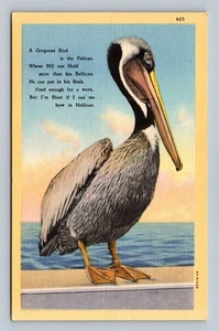 Vintage Pelikan Vogel illustrierte Leinen Postkarte Western Pub. Co. 625 - Bild 1 von 2