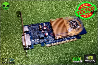 NVIDIA GeForce 315 1GB DDR3 SCHEDA VIDEO PCI EXPRESS PEGATRON 616594-001 - Immagine 1 di 3