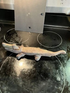 Cast Iron Alligator Nut Cracker - Picture 1 of 6