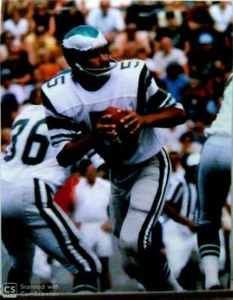 ROMAN GABRIEL UNSIGNED EAGLES 8X10 #2 - Picture 1 of 1