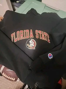 Vintage FSU Hoodie Youth Size XL Florida State Seminoles Size 14/16 Champion - Picture 1 of 3