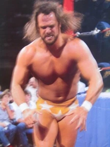 WWF WRESTLING FROM PHILADELPHIA SPECTRUM 1-14-89 PRO WRESTLING DVD (W-1857) - Bild 1 von 1