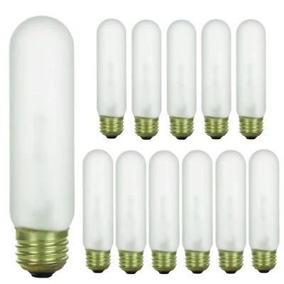DIODESY 12Pack Tubular Light Bulbs, Frosted Tube T10 Bulb, 40W, 2600K, 240LM, E26, 120V