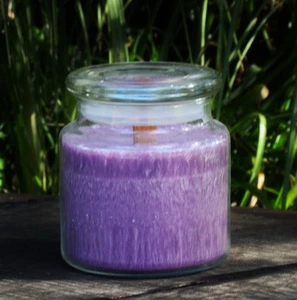 100hr COCONUT LIME PASSIONFRUIT Natural WOOD WICK CANDLE with SNUFFER FRUIT GIFT - Picture 1 of 8