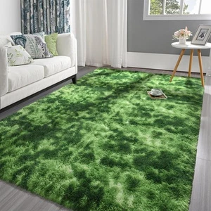 Fluffy Shag Area Rug 3x5 Tie-Dyed Plush Fuzzy Rugs for Living Room Ultra Soft - Picture 1 of 7