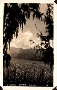 CARTOLINA RPPC CANNA DA ZUCCHERO OAHU HAWAII - Foto 1 di 2