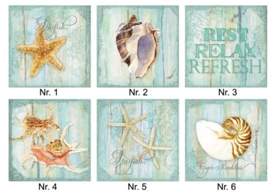 Fliesenaufkleber-Fliesenfolie-Möbelaufkl.-wasserfest-Bad-Muschel-Meer-13064 - Bild 1 von 2