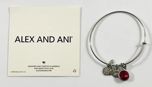 Alex And Ani 2015 Rafaelian Silver Wrap Bangle Bracelet - Picture 1 of 5