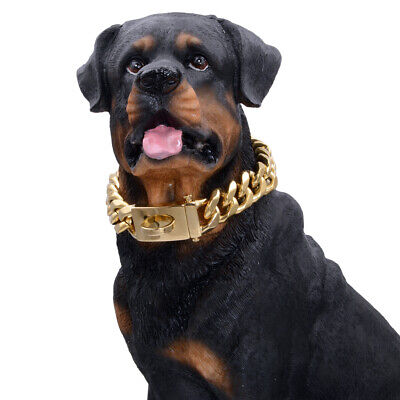 Gold Dog Collar Solid Stainless Steel Dog Choke Big Dog Outdoor Walking Chain • 27.06€