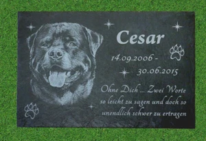 Rottweiler Tiergrabstein Grabstein Schiefer Textgravur Hund - Bild 1 von 3