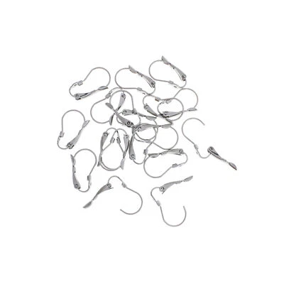 Pendientes Acero Inoxidable - Alambres Palanca Trasera - 19mm - 100 Piezas 50 Pares - FD584 Foto 1 de 3