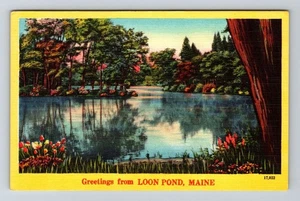 Postal de recuerdo vintage de saludos escénicos Loon Pond ME-Maine - Imagen 1 de 2